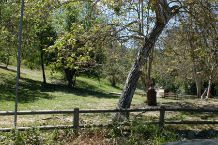 Excerpt from The Reversal (photo credit: Wendy Werris)
The park was larger than Bosch realized, running south of Mulholland and west of Coldwater Canyon Boulevard. A key in the corner of the map said it was 605 acres. Bosch didn't realize that there was such a large public reserve in this prime section of the Hollywood Hills. He noticed that the map had several of the hiking trails and picnic areas marked. The picnic area in the northeast section was off of Blinderman Trail. He assumed it had been misspelled in the SIS log as blind man trailhead.
"What is it?"
Harry looked at his daughter. It was her first attempt at conversation in two days. He decided not to miss it.
"Well, we've been watching this guy. The Special Investigations Section. They're the department's surveillance experts and they're watching this guy who just got out of prison. He killed a little girl a long time ago. And for some reason he went to this park and just sat there at a picnic table." Franklin Canyon