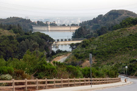Excerpt From The Overlook (Photo by Wendy Werris)
The lieutenant had not known a lot about the case but he had been right about one thing. The crime scene was not far from Bosch's home. He dropped down to Cahuenga and then took Barham across the 101 Freeway. From there it was a quick run up Lake Hollywood Drive to a neighborhood of homes clustered on the hills surrounding the reservoir and the Mulholland Dam. They were expensive homes.
He worked his way around the fenced reservoir, stopping only for a moment when he came upon a coyote in the road. The animal's eyes caught the headlights and glowed brightly. It then turned and sauntered slowly across the street, disappearing into the brush. It was in no hurry to get out of the way, almost daring Bosch to do something. It reminded him of his days on patrol when he saw the same challenge in the eyes of most of the young men he encountered on the street. Lake Hollywood Drive