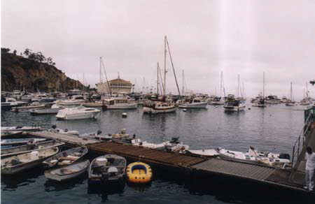 Excerpt From A Darkness More Than Night (Photo by Wendy Werris)
McCaleb walked out on the pier and then down the steps to the skiff dock. He found his Zodiac among the other small boats and climbed aboard, careful to put the videotape and the murder book in the shelter of the inflatable's bow so they wouldn't get wet. He pulled the engine cord twice before it started and then headed off down the middle lane of the harbor. There were no docks in Avalon Harbor. The boats were tied to mooring buoys set in lines that followed the concave shape of the natural harbor. Because it was winter there were few boats in the harbor, but McCaleb didn't cut between the buoys. He followed the fairways, as if driving a car on the streets of a neighborhood. You didn't cut across lawns, you stayed on the roadways. Skiff Dock