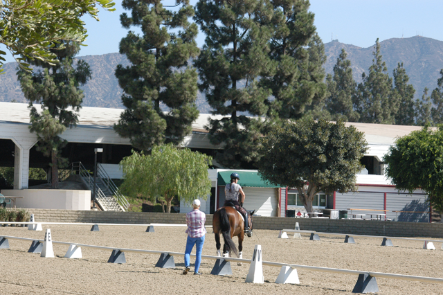 Excerpt from The Gods of Guilt
(Photo by Wendy Werris)
“You mean horse riding?”
“Yes, hunter-jumper. She goes to the Burbank Equestrian Center.”
Now I had to pause. I was embarrassed that I knew so little about what
was going on in my daughter’s life. It didn’t matter that it had not been my choice
to be shut out. I was the father and it was my fault regardless. Equestrian Center