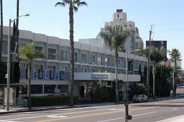 Excerpt from The Drop
(Photo by Wendy Werris)
“I had parked over at the The Standard across Sunset. They know me there.”
The Standard was a boutique hotel a few blocks from the Chateau. The Standard
