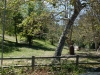 Franklin Canyon
