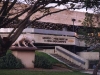 La Brea Museum