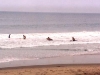 Malibu Surfers