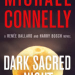 synopsis of book dark sacred night