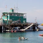 The Green Pleasure Pier - Ironwood