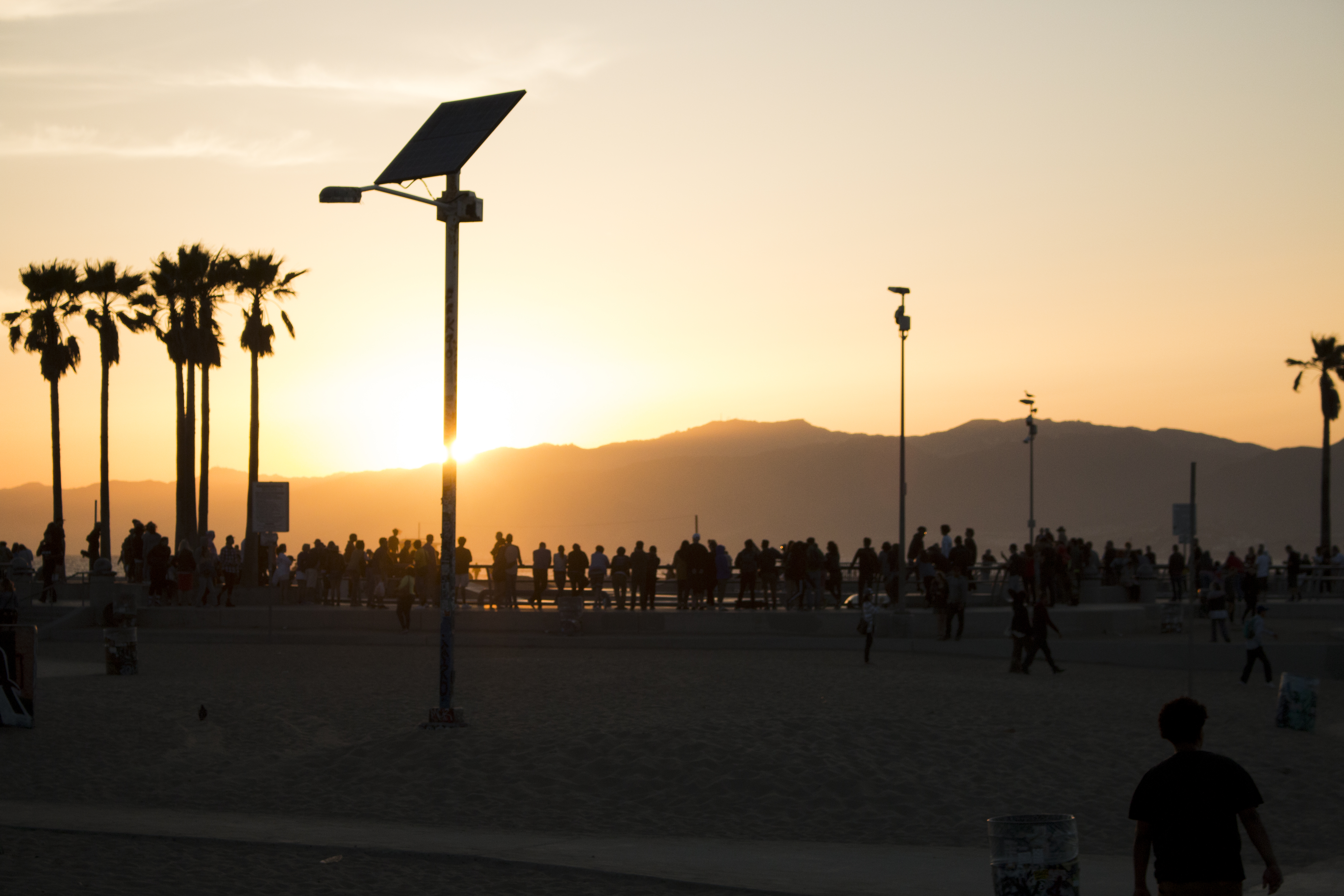 Venice Beach Sunset - The Late Show