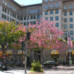 Beverly Wilshire Hotel - The Gods of Guilt