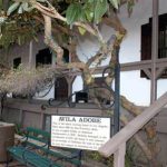 Avila Adobe - The Closers