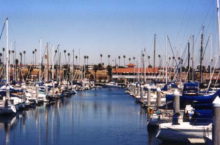 Cabrillo Marina - Blood Work