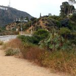 Hollywood Sign  - The Overlook