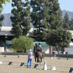 Equestrian Center - The Gods of Guilt