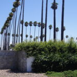 Home of Peace Cemetery - Resurrection Walk